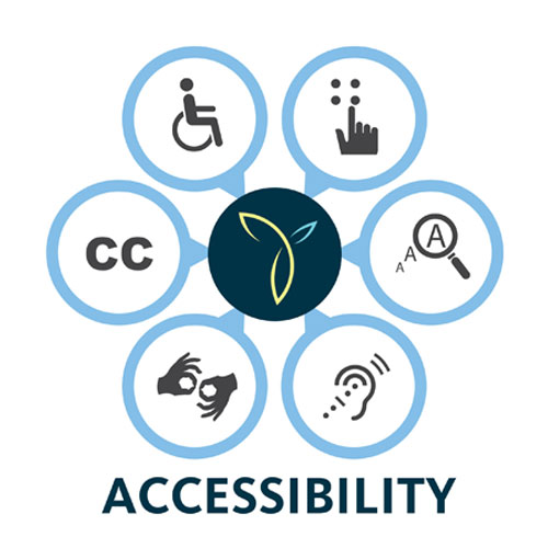 Accessibility project image