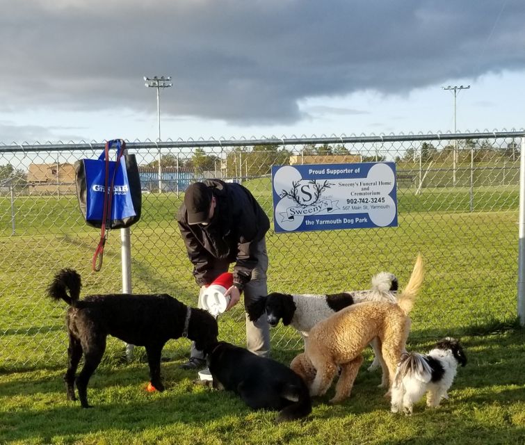 Yarmouth Dog Park Town Hall