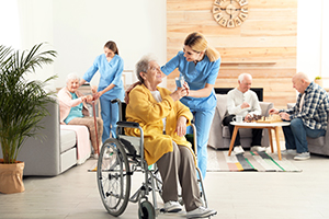 Special & Assisted Living Homes 