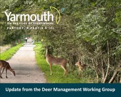 Update from the Deer Management Working Group